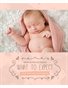 Newborn- What to Expect - Holly Breeden Photography