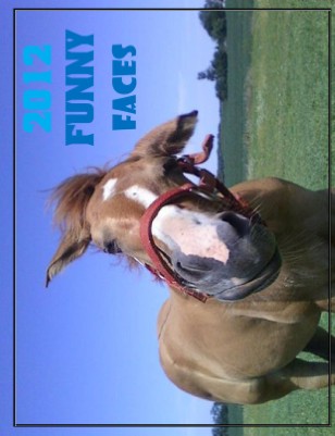 FUNNY FACES 2012