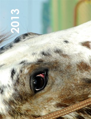 Horses 2013
