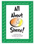All About Sheen Activity Book