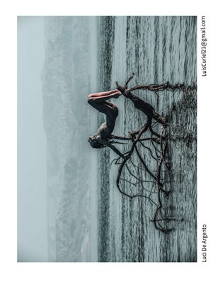 Luci in the Dead sea