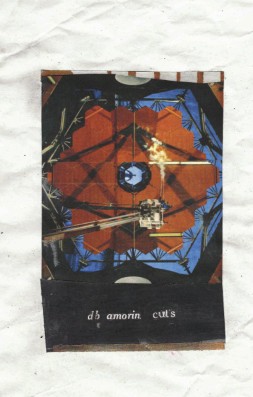DB Amorin Cuts