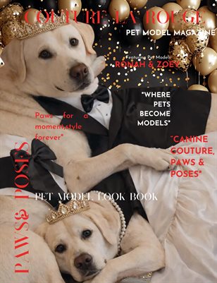 Paws & Poses Pet Model Edition