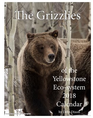 The Grizzlies of the Yellowstone Eco-System