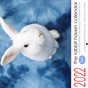 2022 Rabbit Calendar