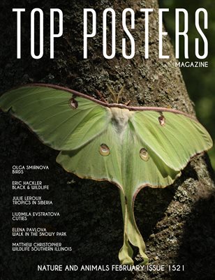 TOP POSTERS MAGAZINE - NATURE AND ANIMALS FEBRUARY (Vol 1521)