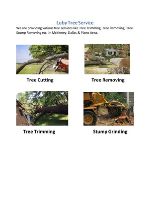 Mckinney Tree Trimming service