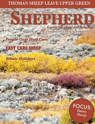 The Shepherd November 2016