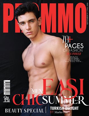 Publication preview