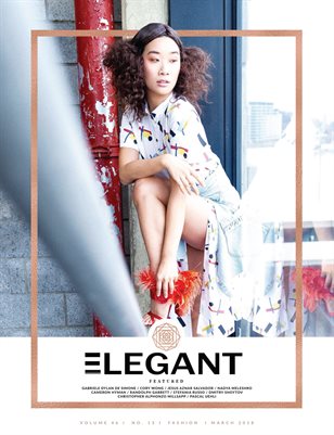 Fashion #13 (March 2018)