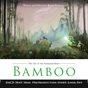 The Art of the Animated Short: Bamboo