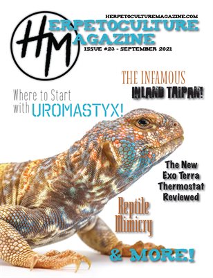 Issue #23 - September 2021
