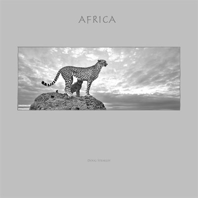 AFRICA PORTFOLIO