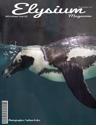 Elysium 142 Nathan Feder