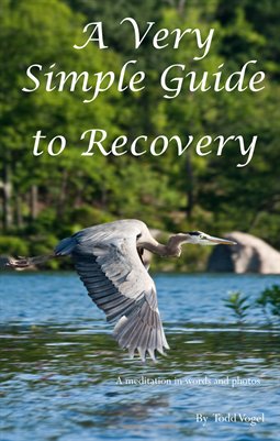 A Very Simple Guide to Recovery 