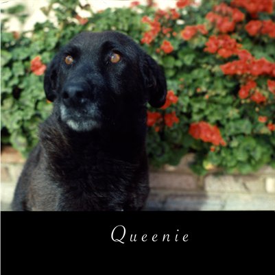 Queenie