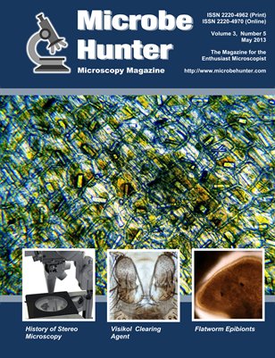 May 2013 (Vol. 3, No. 5) 