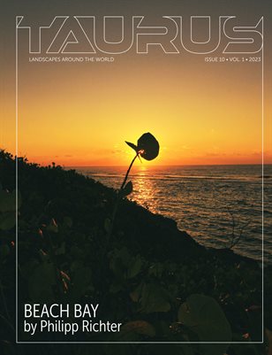 Taurus_Landscape_Issue10