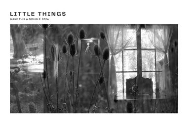 Make This a Double 2024 -- Little Things