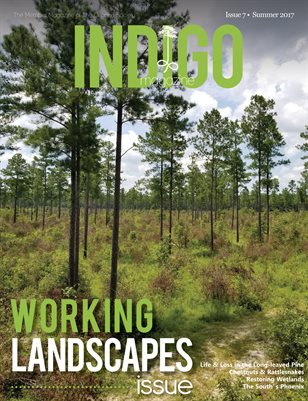 Indigo Magazine Summer 2017