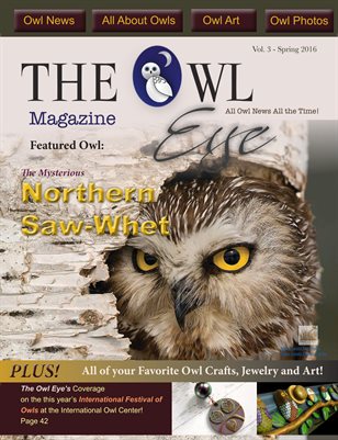 Owl Eye Magazine Issue 3 Spring 2016