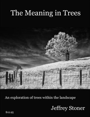 The Meaning in Trees  (retail price on front cover)