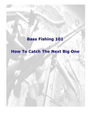 Bass Fishing