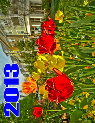 2013 EFFECTS CALENDAR