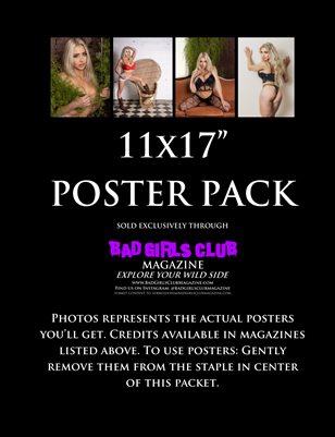 Katie Gannon - Busty Blonde Babe Professional Wrestler Poster Pack 1 - Lingerie