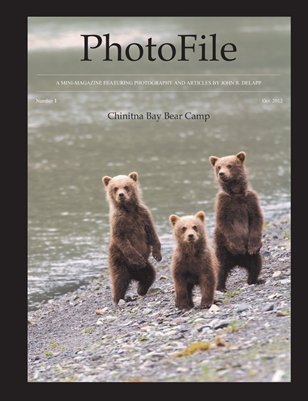 PhotoFile No. 1