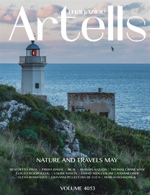 Publication preview