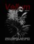 Vellum no. 14