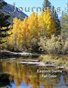 Eastern Sierra Fall Color
