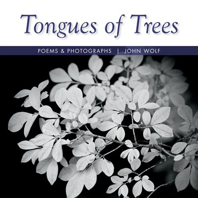 Tongues of Trees
