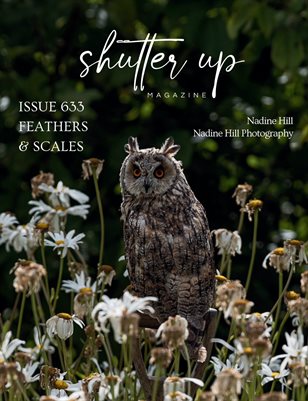 Publication preview