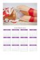 Pin Up-2014 Calendar