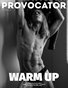PROVOCATOR #3 vol. 2
