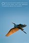 Egret Poster-Splendor Above the Heavens!