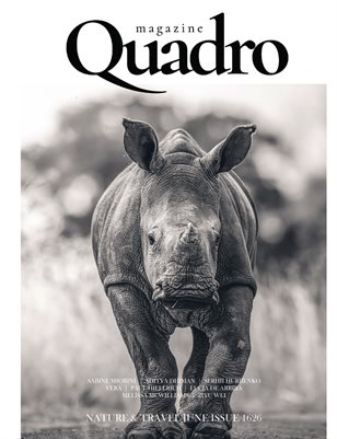 Publication preview
