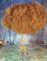 Tumbleweeds and Stuff