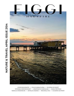 FIGGI MAGAZINE - NATURE & TRAVEL APRIL (Vol 2104)