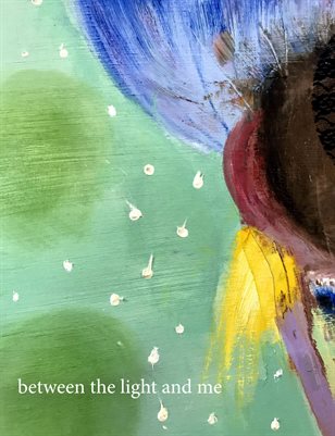 Mary DeVincentis - Between the Light and Me