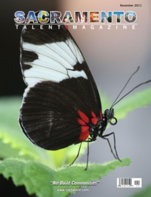 Publication preview