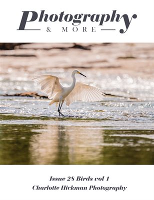 Issue 28 Birds vol 1
