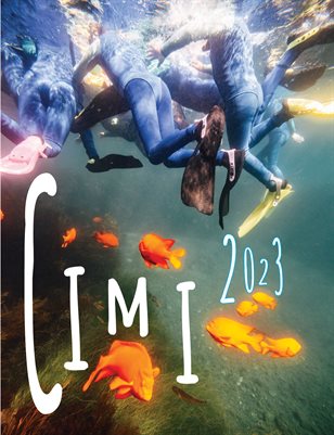 CIMI 23