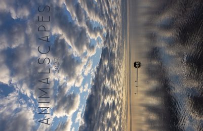 2027 Animalscapes Calendar