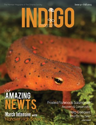 Indigo Magazine Fall 2015