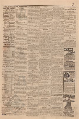 (PAGES 3-4 ) MARCH 25, 1882 MAYFIELD MONITOR NEWSPAPER, MAYFIELD, GRAVES COUNTY, KENTUCKY