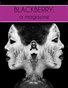 BLACKBERRY: a magazine, Issue 2, "Belief"