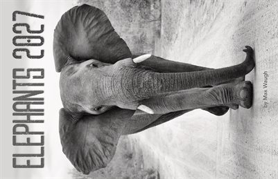 2027 Elephants Calendar